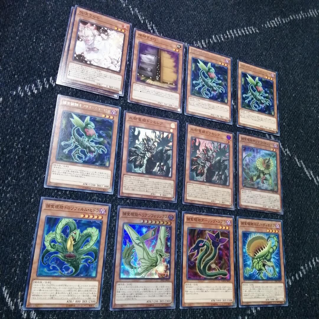 遊戯王　デッキ　捕食植物　プレデター・プランツ　スターヴ　[04656]