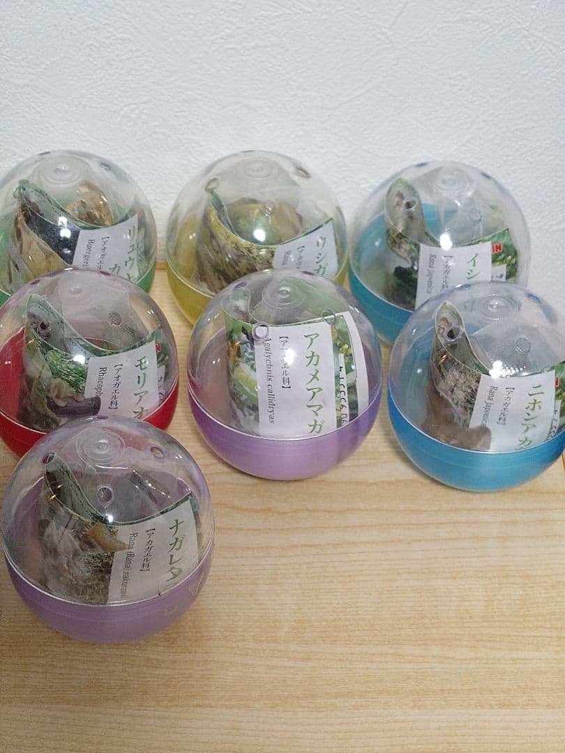 【未開封品】原色両生類カエル図鑑 [新改訂版]　全15種セット