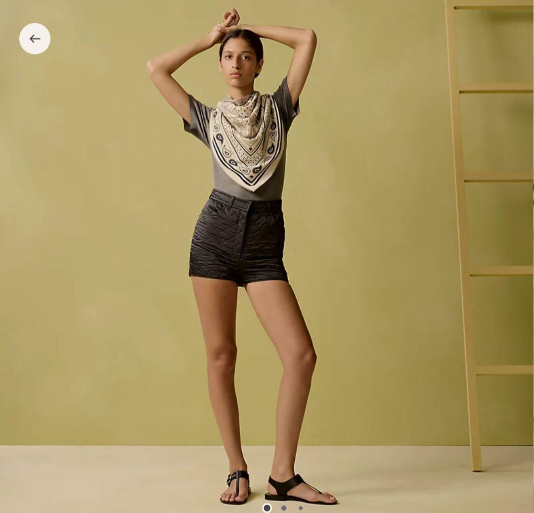 HERMESエルメス　カレジェアン新作《馬銜・バンダナ》カシシル 140