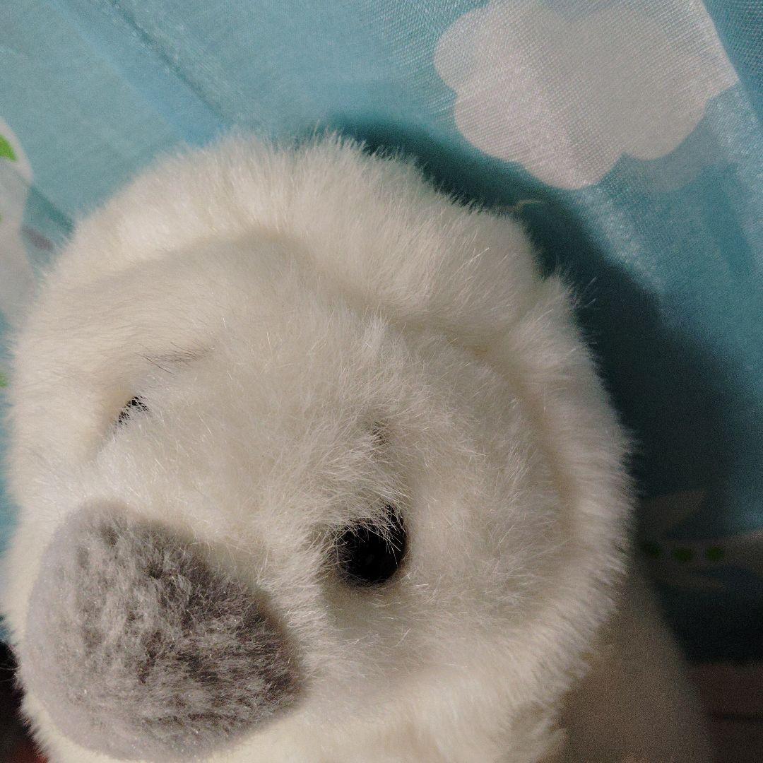 やまね工房 あざらし ぬいぐるみ