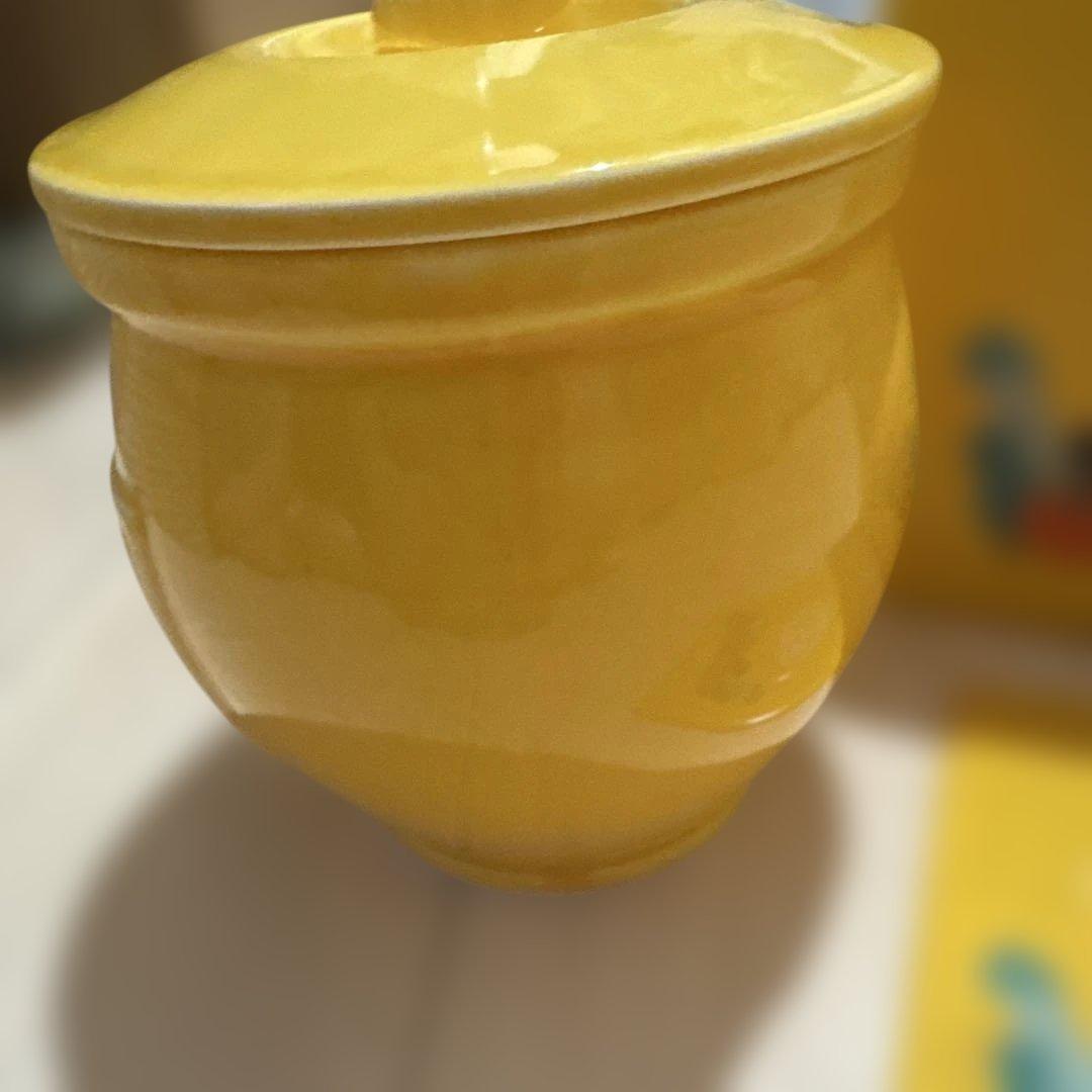 【新品未使用】ポルノグラフィティ　ぬか漬け　壺（レア）※期間限定