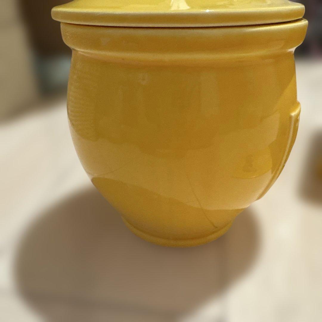 【新品未使用】ポルノグラフィティ　ぬか漬け　壺（レア）※期間限定