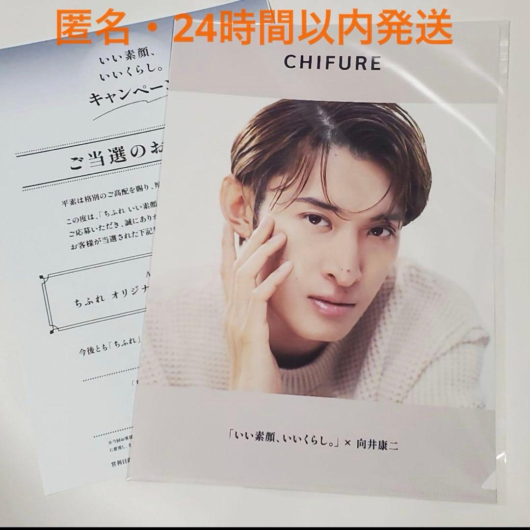 向井康二 クリアファイル 1枚 / ちふれ　当選品　非売品 向井康二】ちふれ 当選品【クリアファイル】 - メルカリ