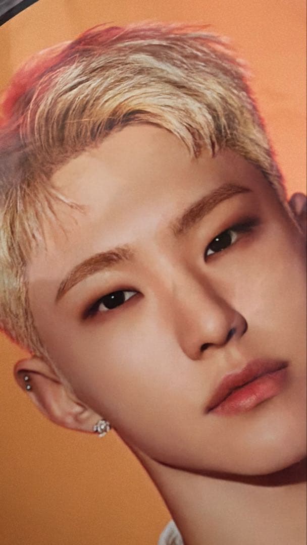 SEVENTEEN ホシ うちわ