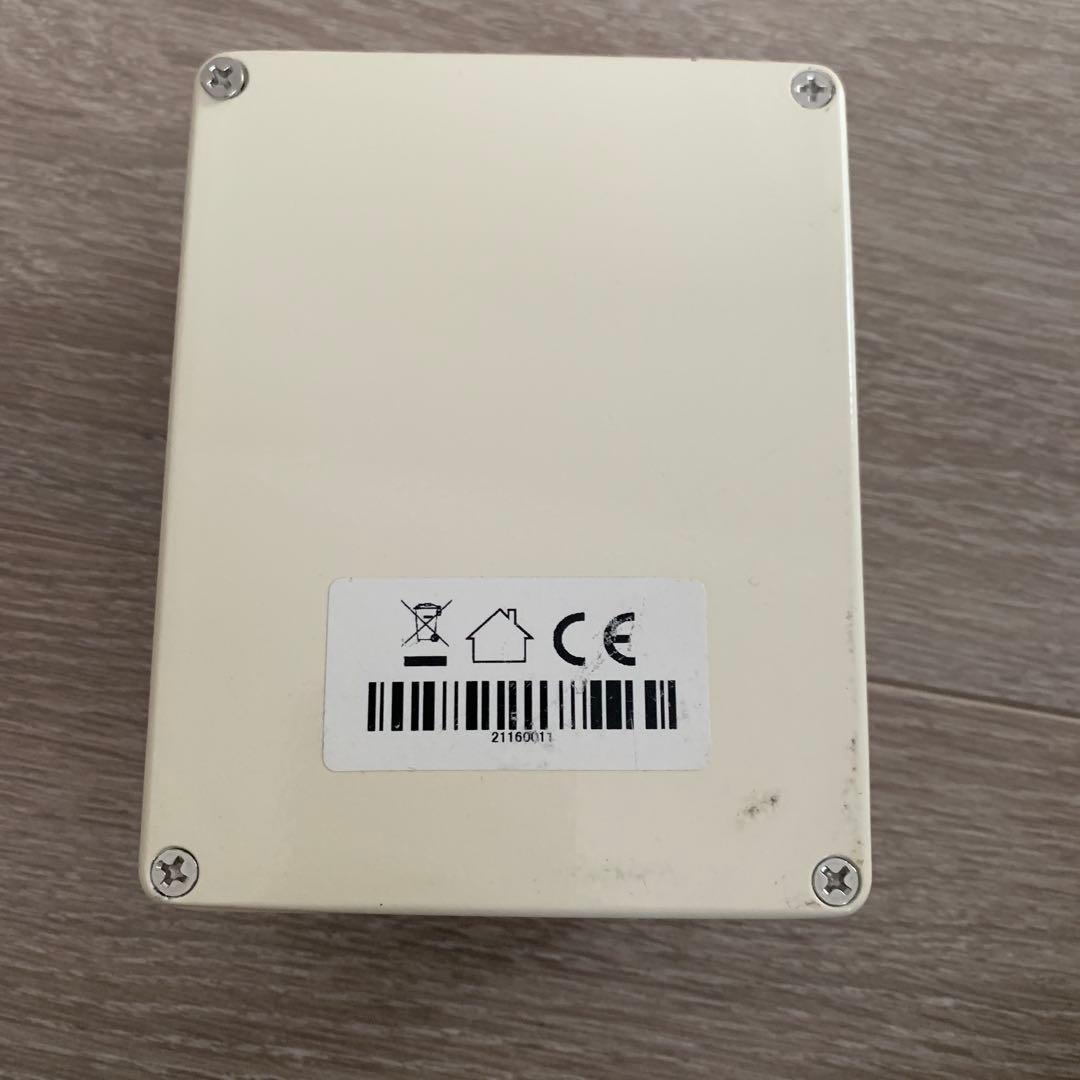 ギター CARL MARTIN PlexiRanger