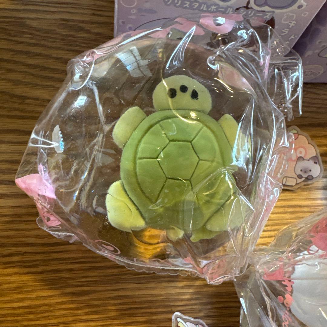 は*な様 バラ売り不可❌ momo スクイーズ 海洋 5点 被りなし ※付属箱畳