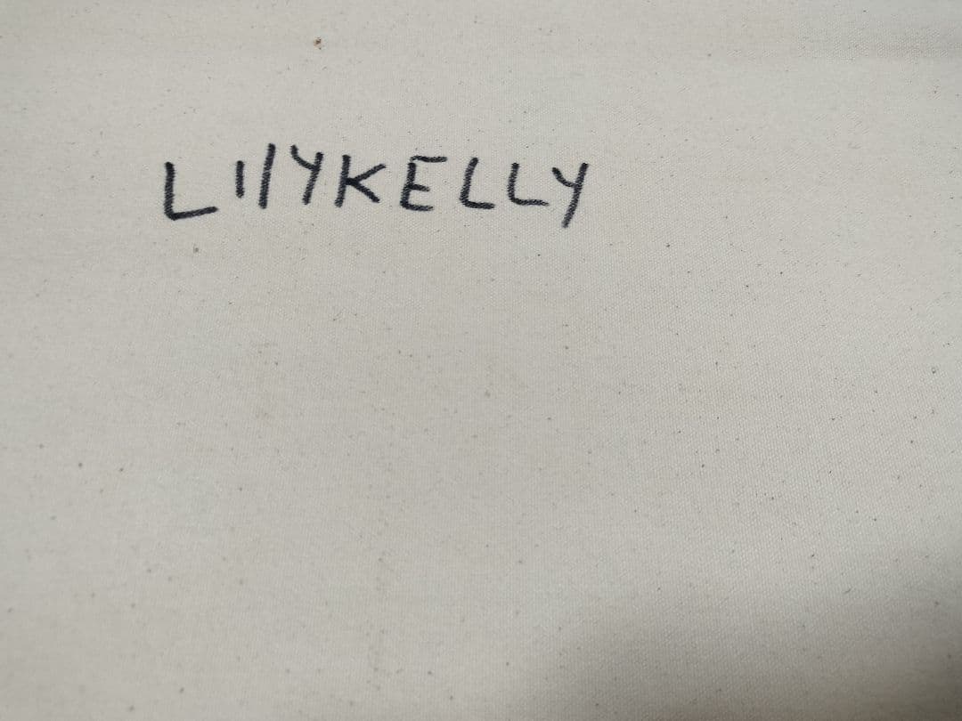 Lily Kelly作 アボリジニアート - メルカリ