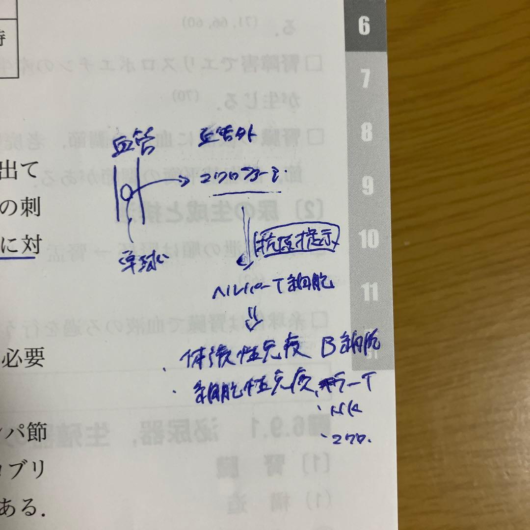 2026年版 診療放射線技師国家試験 合格!Myテキスト ―過去問