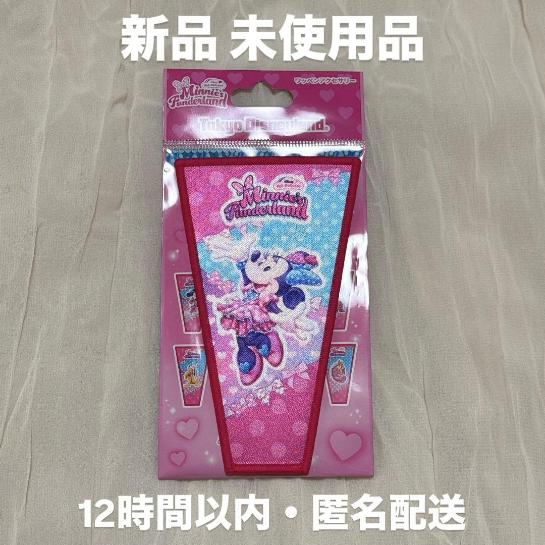 ディズニー パルパルーザ ミニー の ファンダーランド ワッペン ミニー