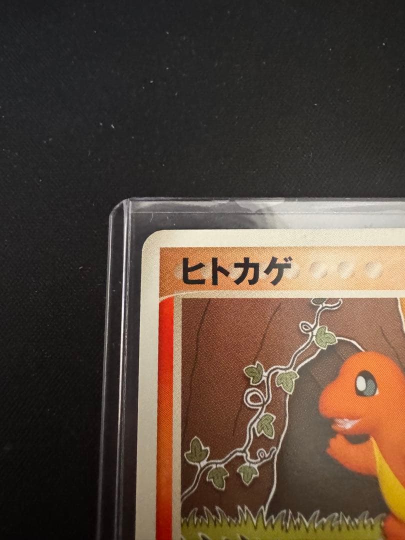 WCP ワールドチャンピオンカップ アンリミ ヒトカゲ リザード セット