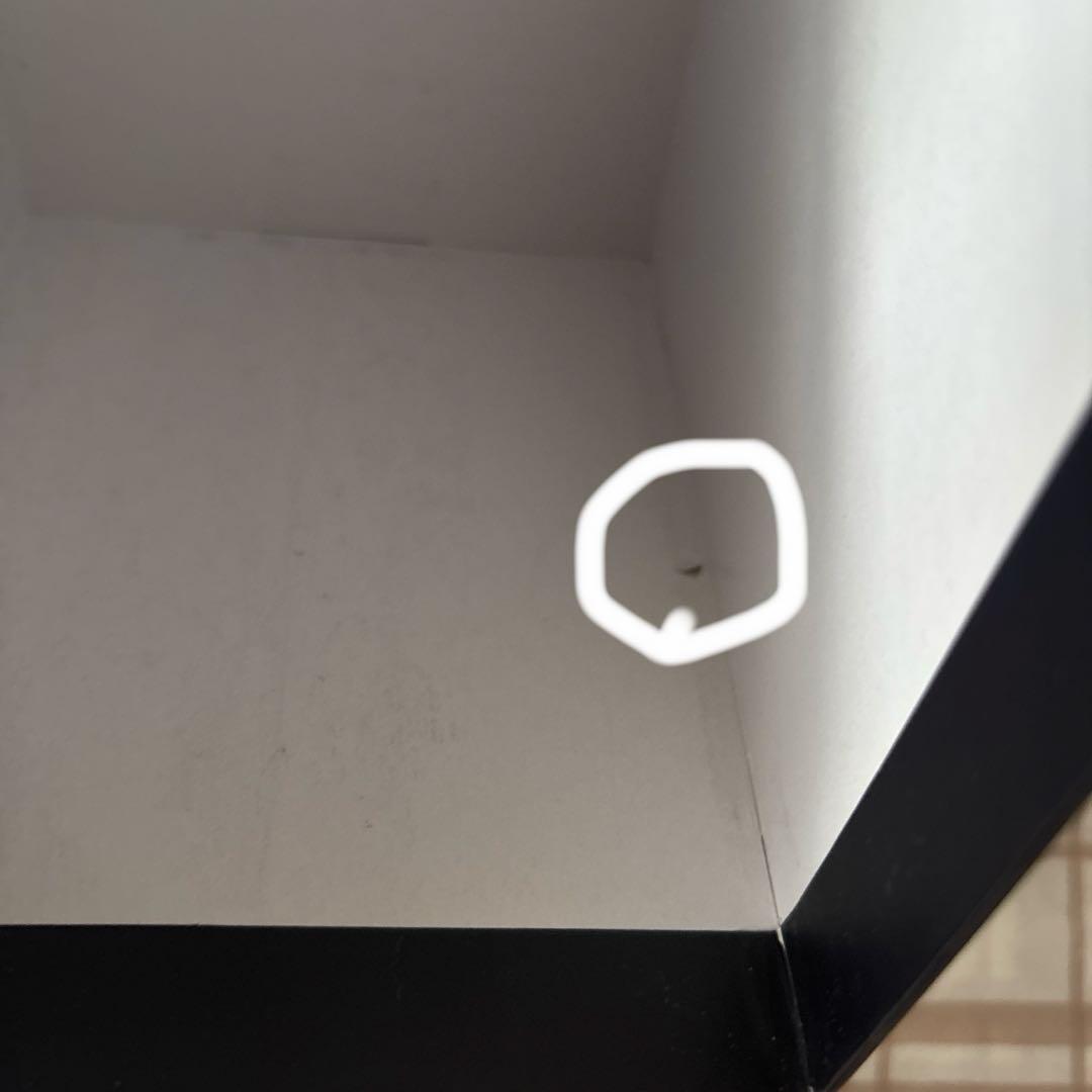 全知的な読者の視点から　台湾小説特装版　11,12 全知讀者視角　予約特典付き