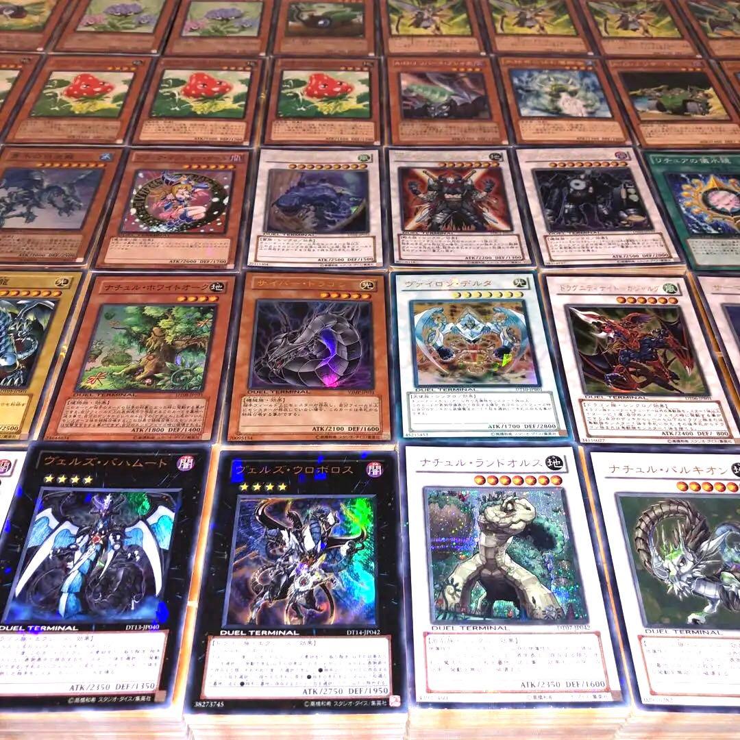 遊戯王 デュエルターミナルのみ 大量まとめ 約5000枚 引退品 DT DTC