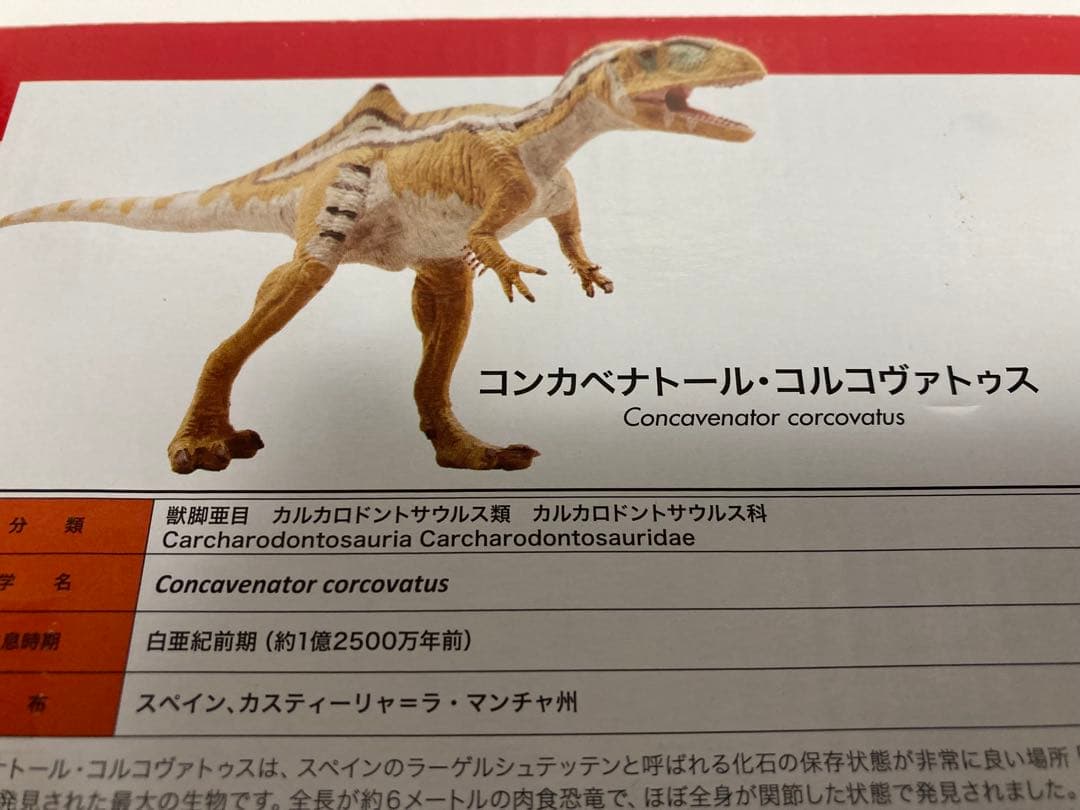 福井県立恐竜博物館監修 スペイン展限定 荒木一成原型 恐竜フィギュア2