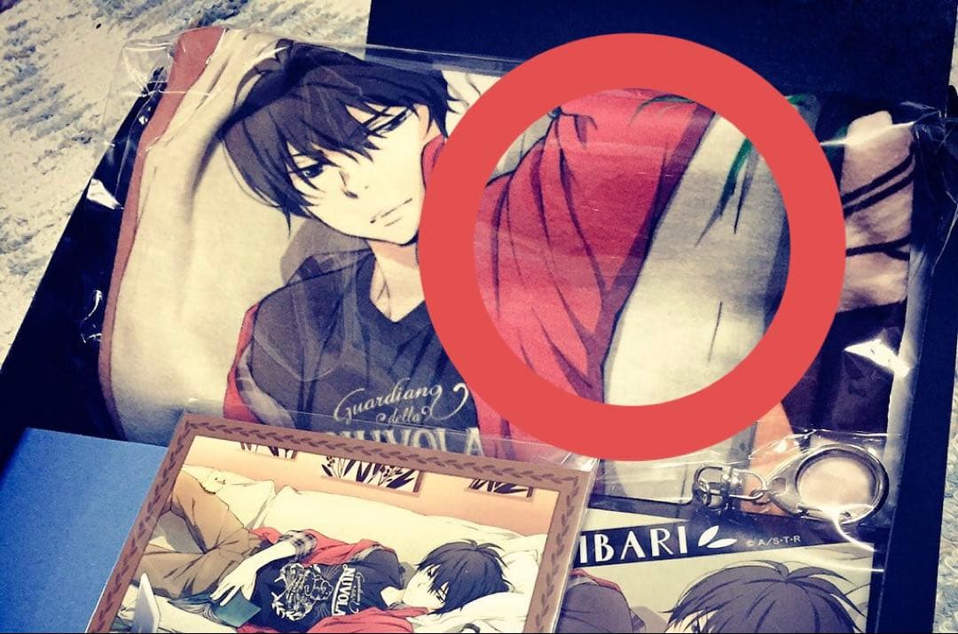 お値下げしました！雲雀恭弥 誕生日 クッションカバー