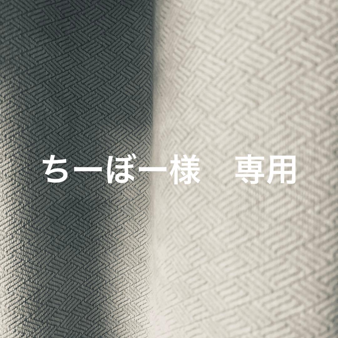 ちーぼー ZoomOn 1/24 トランスキット ポルシェ 911 992 RSR 2020 No.911/912