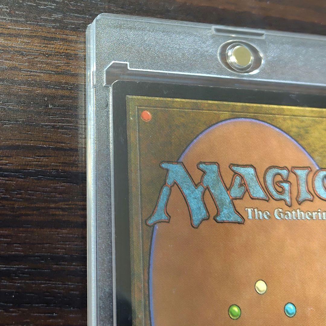 適者生生存　MagicTheGathering　 英語版
