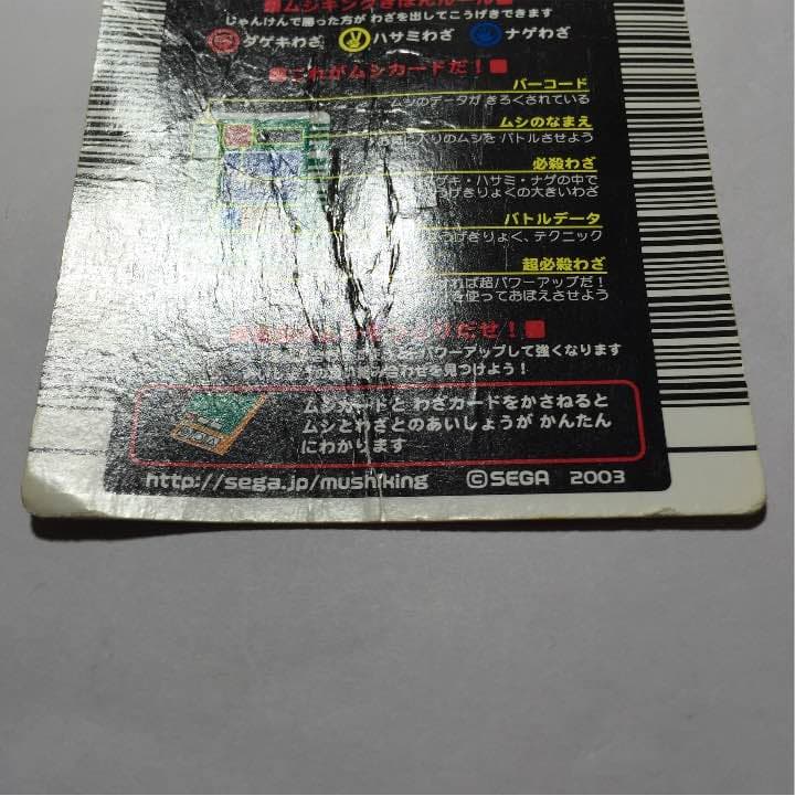 確認用ページその2。コーカサス