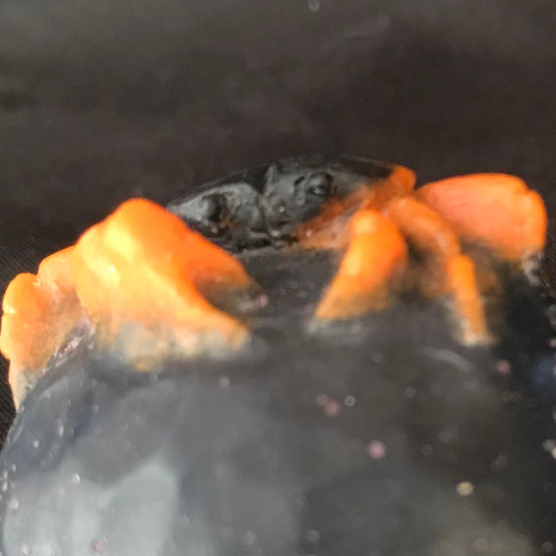 岩に凝っとする沢蟹」 置物 ペーパーウェイト パートドヴェール - メルカリ