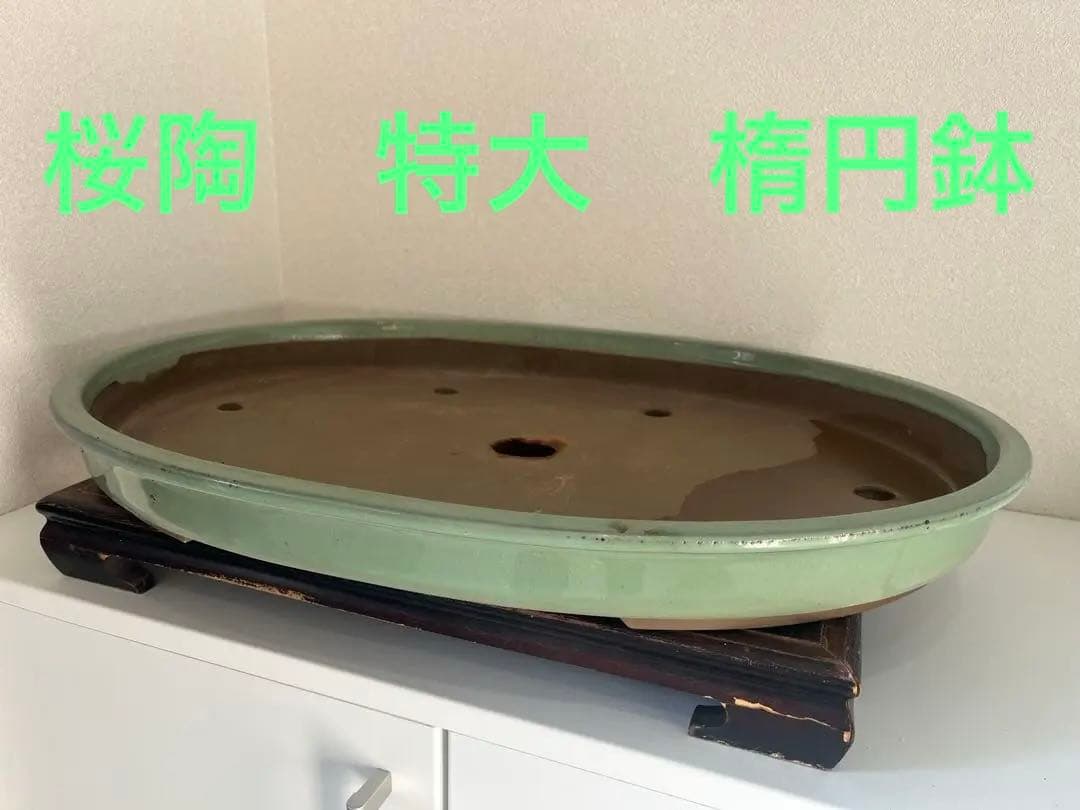 特大　桜陶　落款　緑釉　楕円　盆栽鉢 二代東福寺緑釉楕円鉢 | 盆栽、盆栽書籍、盆栽鉢の通販│近代出版