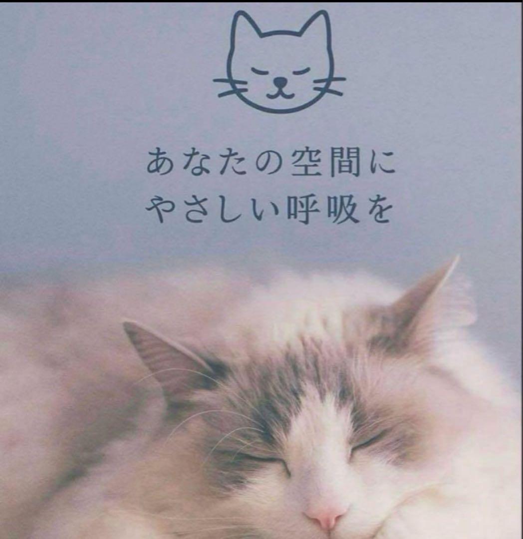 ブラックフライデー！一台のみ⚫︎ダイキン⚫︎新型空気清浄機加湿無し