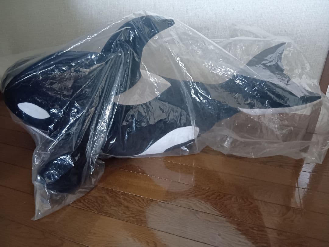 鴨川シーワールド　シャチのぬいぐるみ 80cm 重さ12kgの「BIGシャチぬいぐるみ」鴨川シーワールドで発売｜あとなび