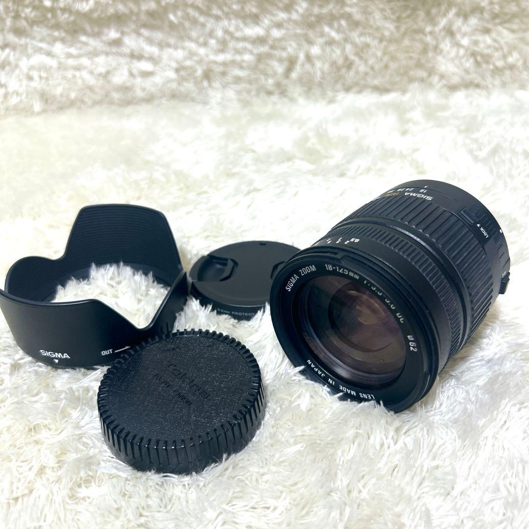 SIGMA シグマ AF 18-125mm F3.5-5.6 DC Canon用