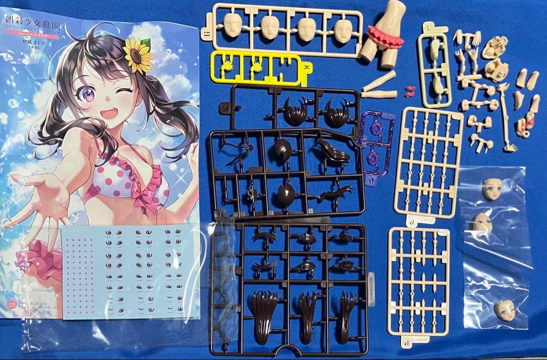 創彩少女庭園 まとめ売り