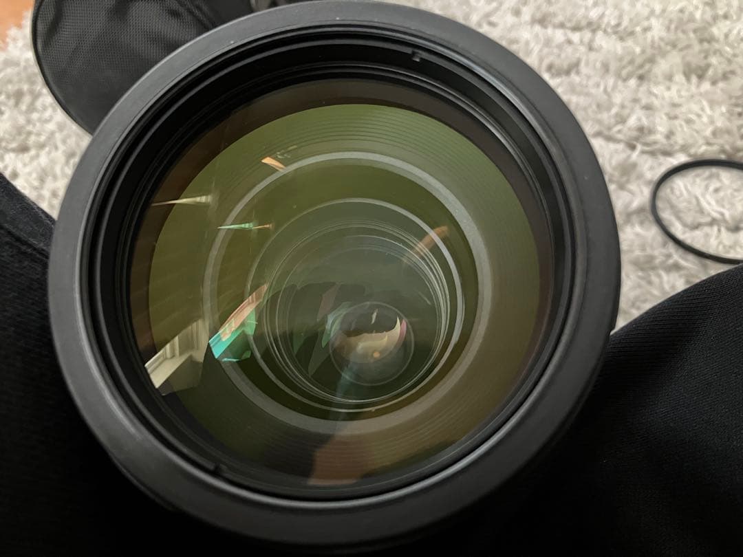 ニコン AF-S Nikkor 80-400mm F4.5-5.6 G ED