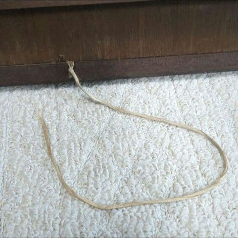 【真作】田河勇造 油彩「薔薇」F8号 額装付き