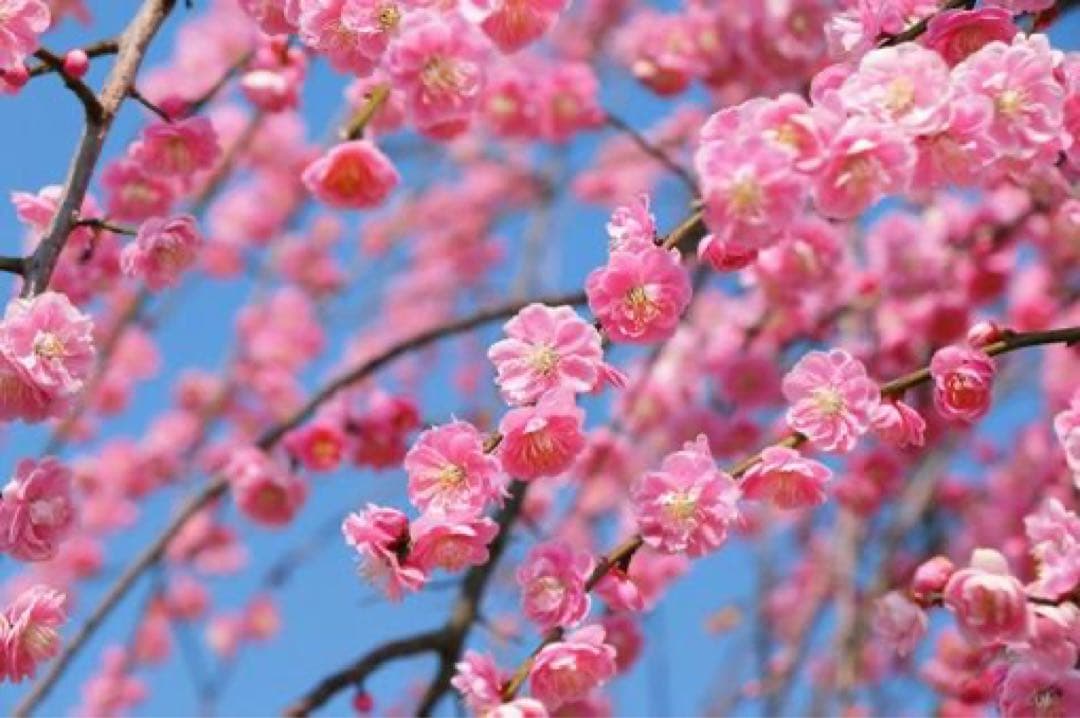 goma様　リクエスト出品 楽天市場】洗濯機かさ上げ 防振・防音ゴムマット TFi-5515 ドラム式/縦