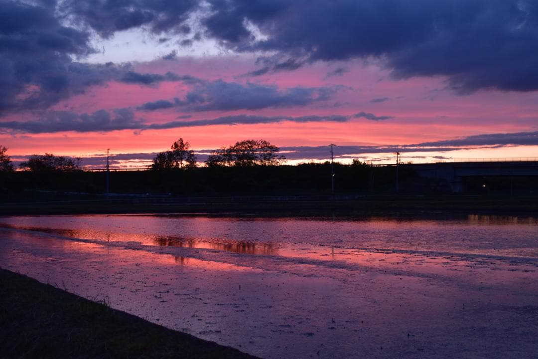 Nikon D5500 ダブルズームキット シャッター回数:1457 - メルカリ