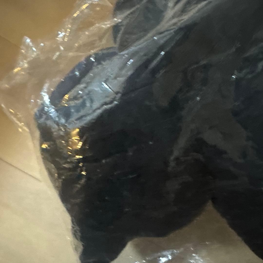 【新品】タグ付き　サンダーボルトプロジェクト　フラグメント　カビゴン　　L