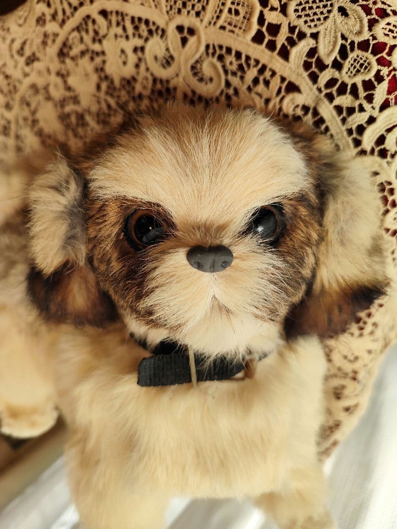 レトロ　シーズー　ぬいぐるみ　レトロぬいぐるみ