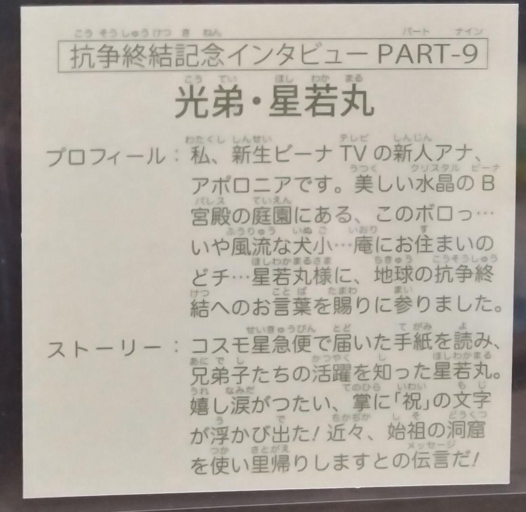 ラーメンばあ幻の最終抗争仮想14弾【抗争終結記念インタビュー9 光弟・星若丸】