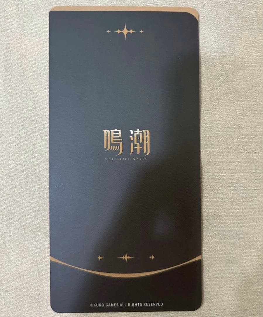 台北ゲームショウ 鳴潮 台湾 限定 箔押し仕様 カード トレカ リューク