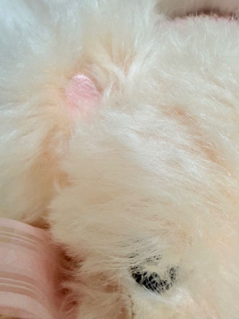 ☆メリーソート☆チーキー☆ラブハート☆100体限定☆No.15