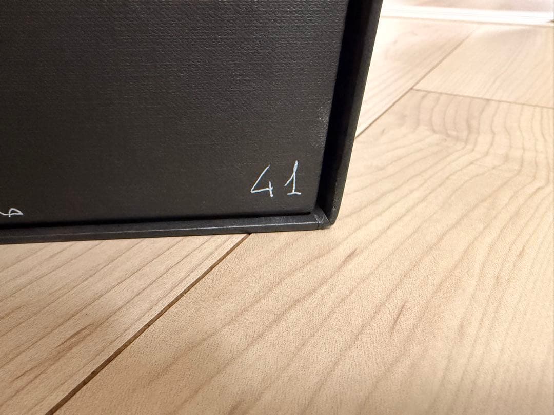 オ*☆様 T.M.Revolution 西川貴教着用 スニーカー artsela