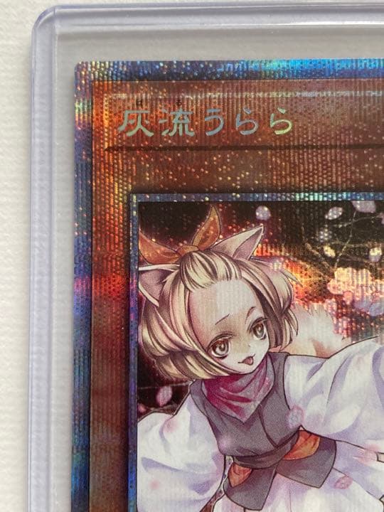 遊戯王　灰流うらら　プリシク
