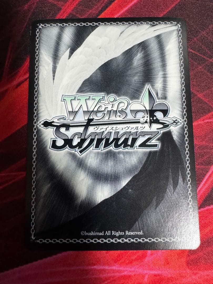 夏の思い出　鴎　SP ヴァイスシュヴァルツ