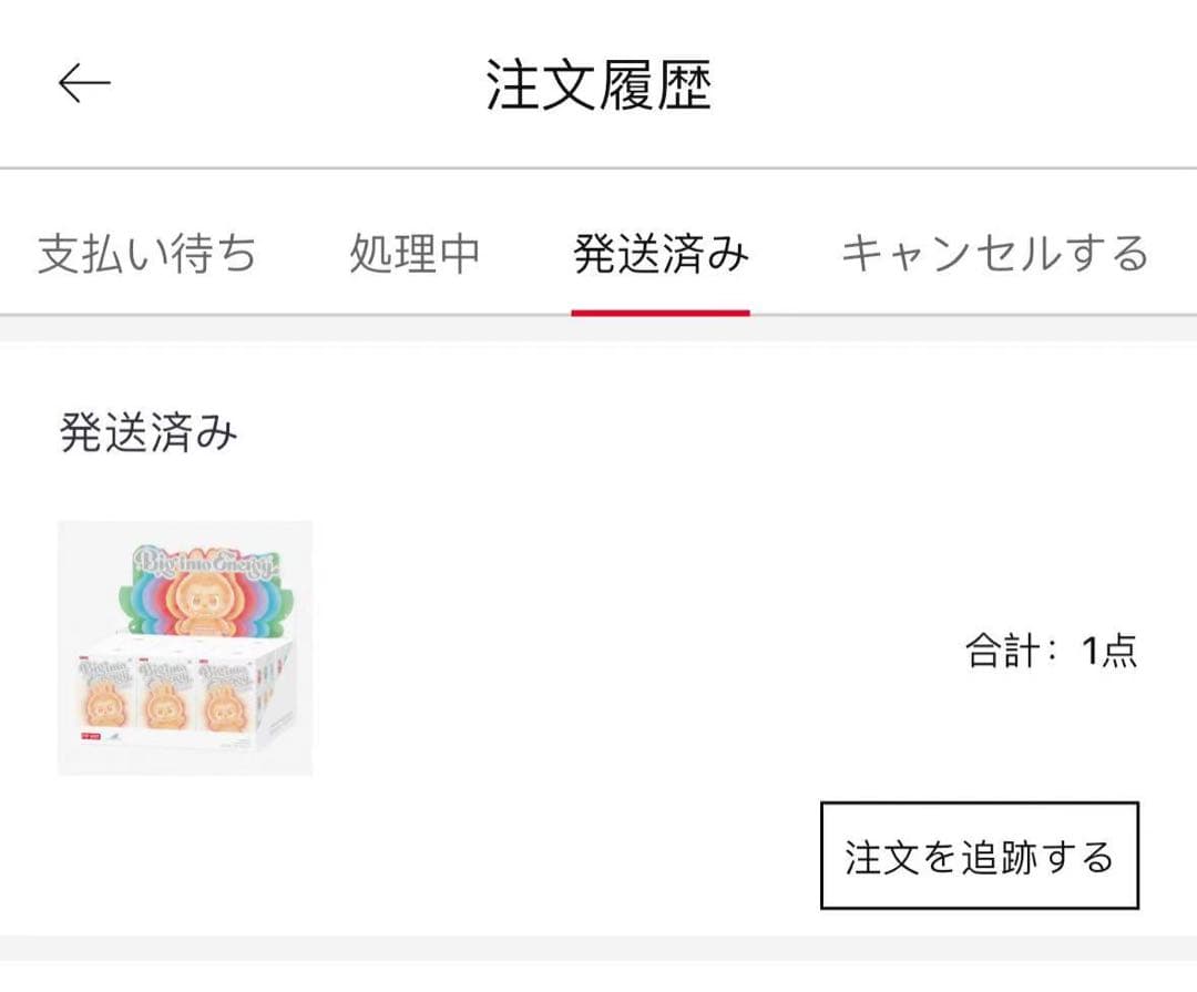 【未開封6体】LABUBU Big into energy 3.0（外箱開封済）