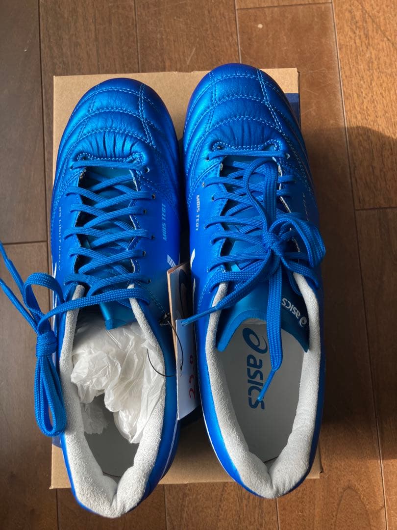 シューズ ASICS DS LIGHT X-FLY 5 25.0cm