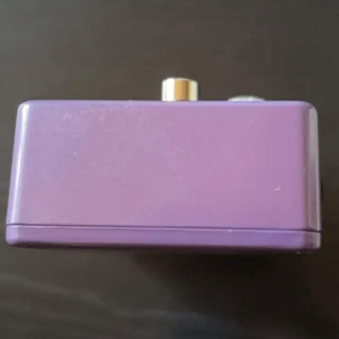 ギター Vivie modern raven