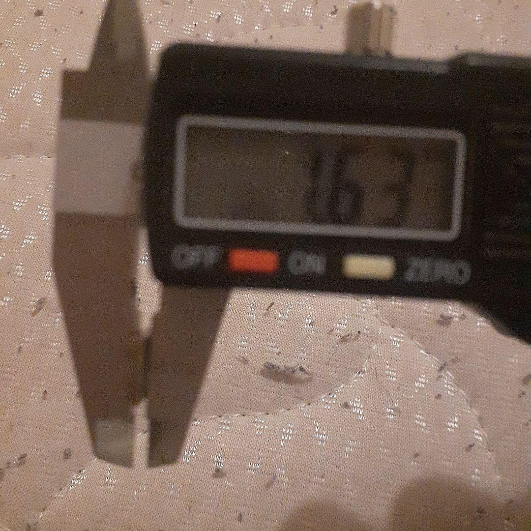 天保二朱金　本物　美品　最終値下げ！