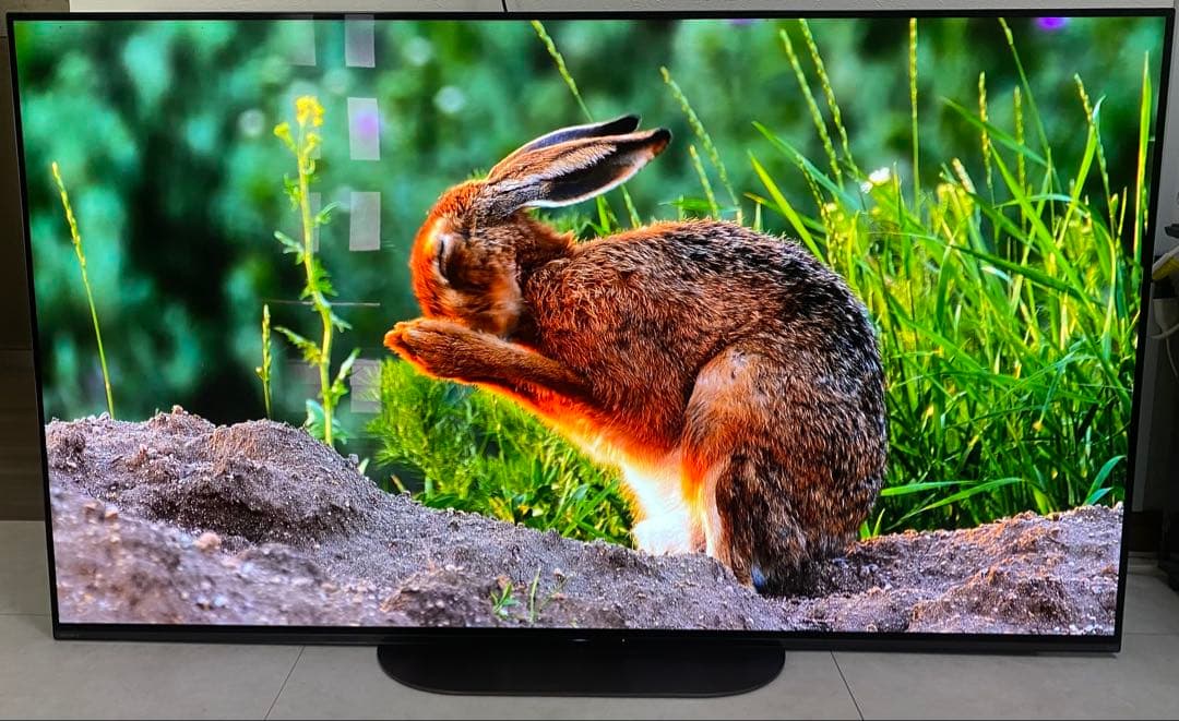 ソニー ブラビア55V型 4K有機ELテレビ KJ-55A9G - メルカリ