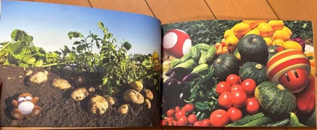 任天堂　Nintendo 採用　2013年　会社説明　資料　非売品