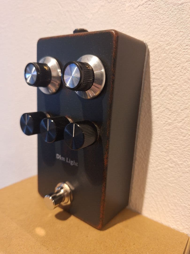 ギター 1995FX/Dim Light