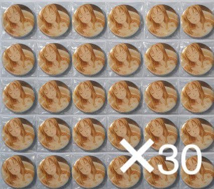 SAO アスナ 特典 缶バッジ WonderGOO 30点 SAO アスナ 特典 缶バッジ WonderGOO 30点 SAO アスナ 電撃スペシャル