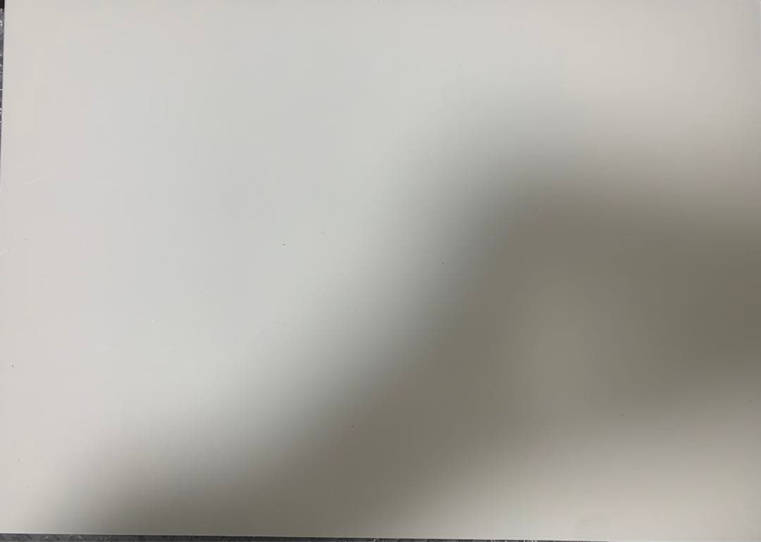 乃木坂46 5期生写真集 『あの頃 乃木坂にいた』川崎桜　直筆サイン パネル