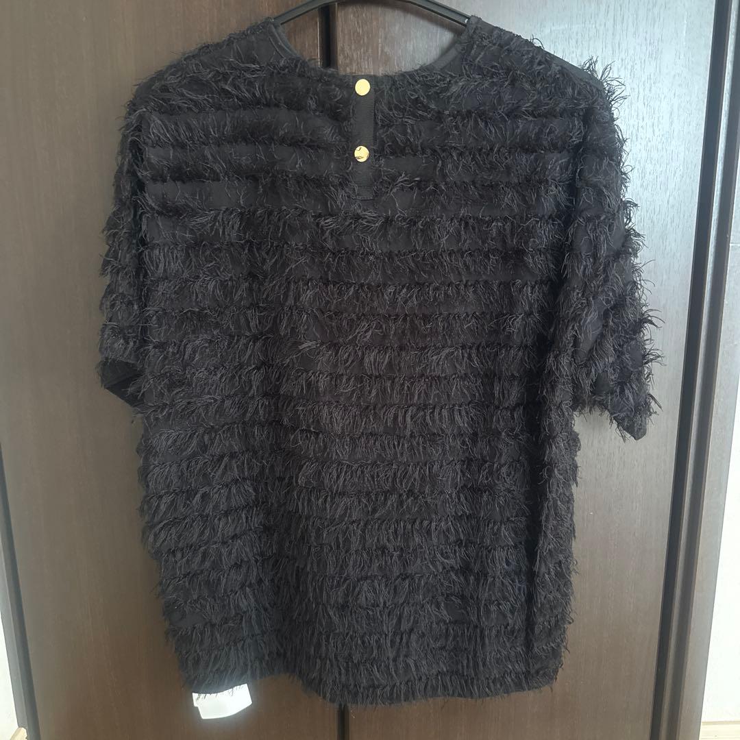 Gypsophila ジプソフィア 黒 フェザーT - メルカリ