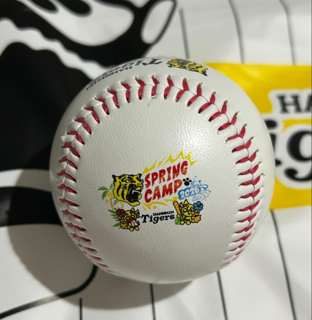 立石正広 阪神タイガース 直筆サイン 春季キャンプ 沖縄キャンプ 限定